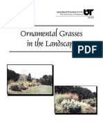 Ornamental Grasses in the Landscape