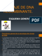 Clonaje de Dna Recombinante