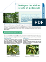 Distinguer_les_chenes_sessile_et_pedoncule.pdf
