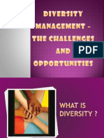 managing-diversity-the-challenge-for-indian-inc-1225806401736749-9.ppt
