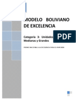 3-Modelo Boliviano Categoria 3