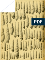 I Molluschi Dei Terreni Terziari Del Piemonte e Della Liguria F. Sacco, 1891 - PARTE 10 - Paleontologia Malacologia - Conchiglie Fossili Del Pliocene e Pleistocene
