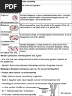 Cell Reproduction Notes