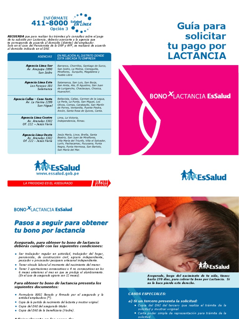 Requisitos para el Subsidio de Lactancia | PDF | Lima