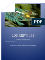 Fauna Reptiles Corregido