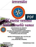 Curso de Berenjena 1