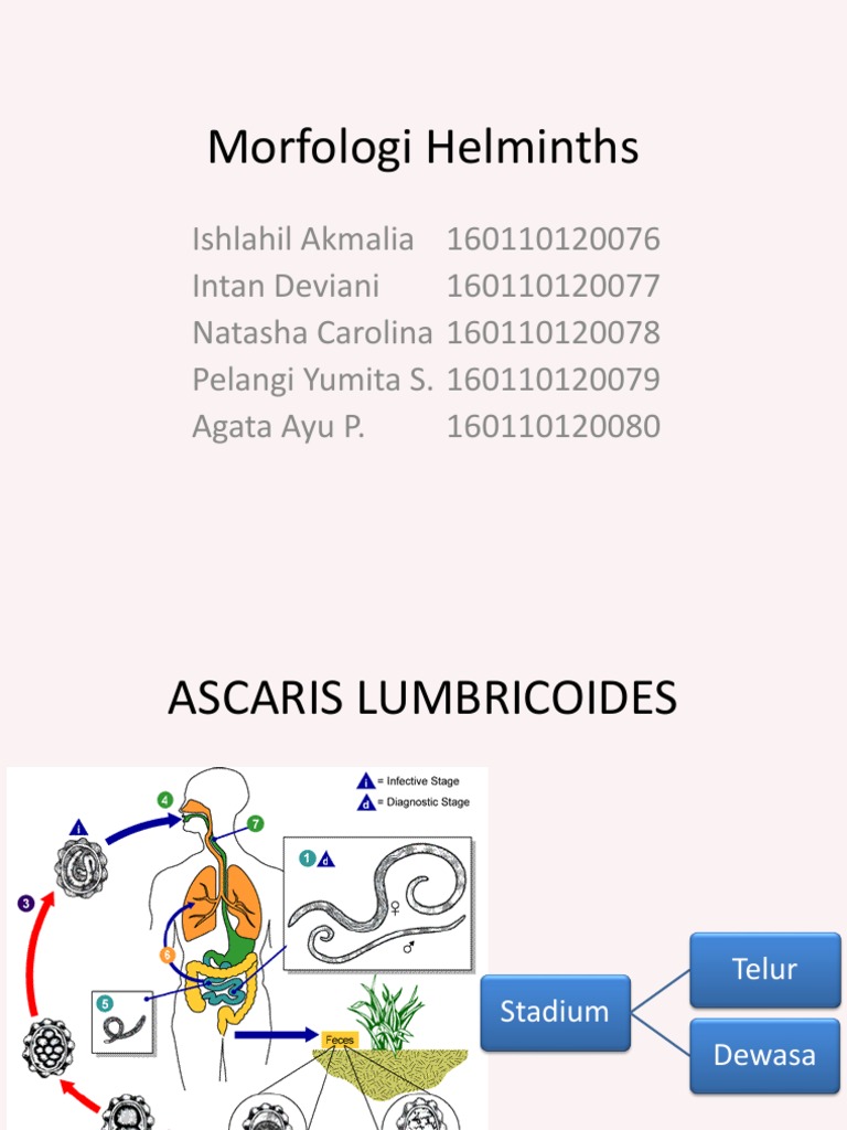 prevenirea comprimatelor de helmintiază)