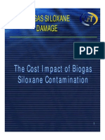 Biogas Siloxane Damage