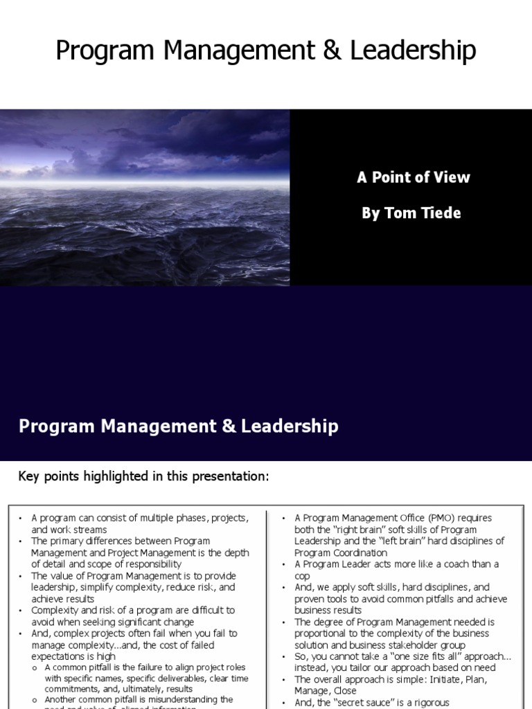 Program Management Leadership Insights | PDF | Leadership | Project ...