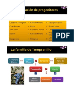 Adn Algunos Españoles