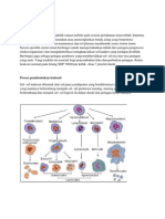 Leukimia