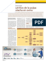 Composicion Quimica Pulpa de Remolacha