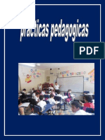 Reflexion Practicas Pedagogicas Dubis