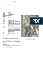 Angrek Tanah PDF