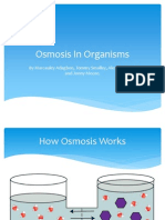 osmosis in organisms jonny moore