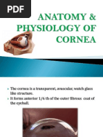 Cornea  .....pptx