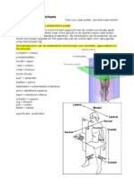 Orgaansystemen PDF