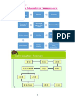 Cattle Slaughter Process PDF