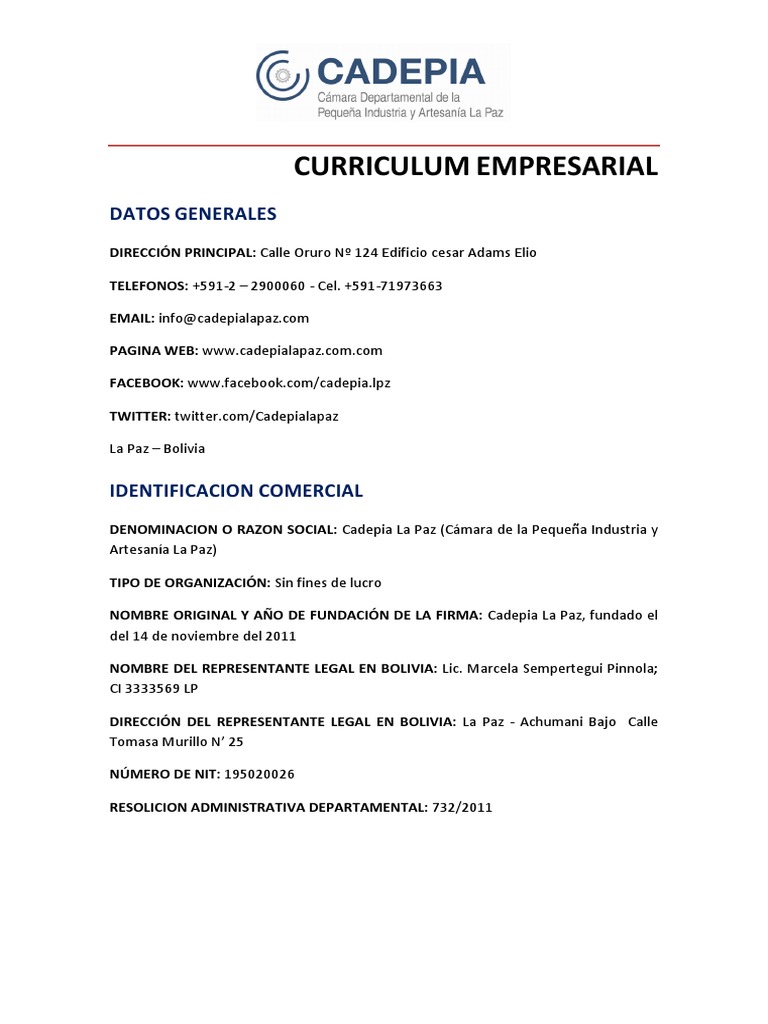 Curriculum Empresarial | PDF | Pequeñas y medianas empresas | Organización  sin ánimo de lucro