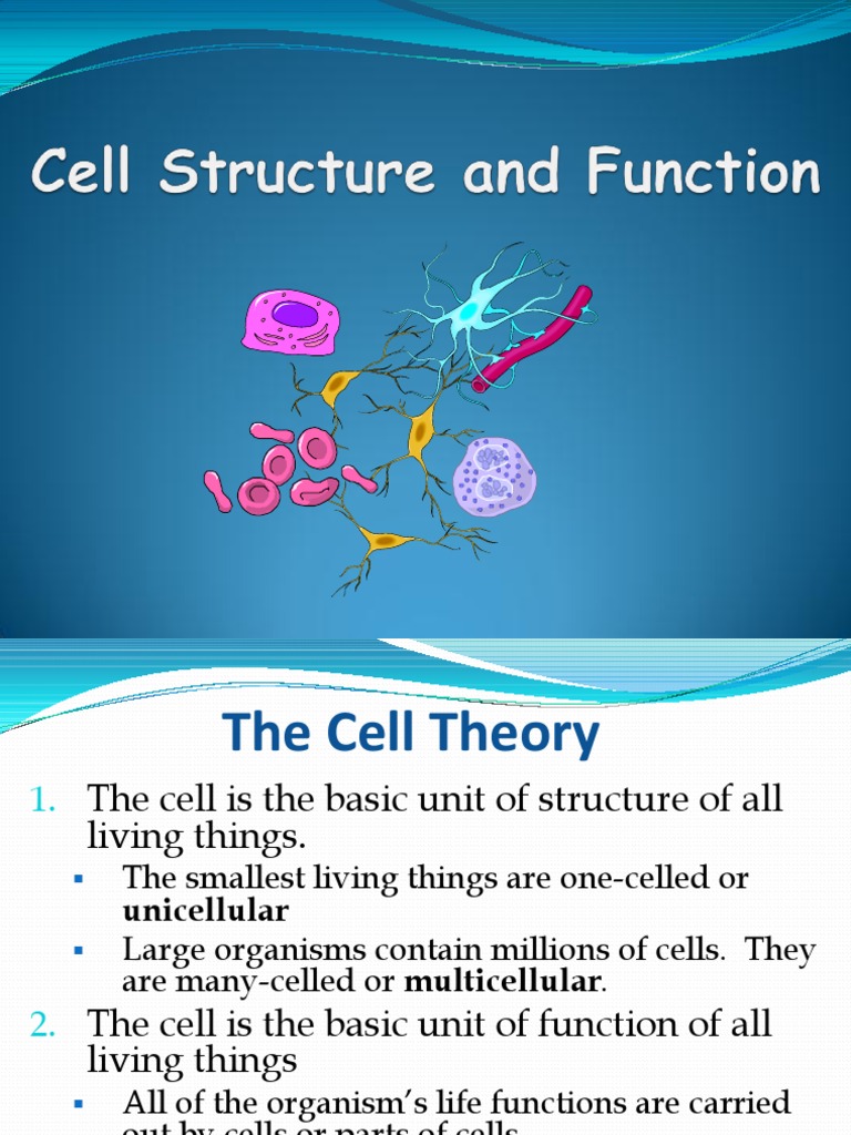 Cell Structure and Function | PDF | Cell (Biology) | Cell Membrane