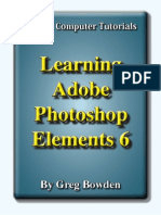 Learning Adobe Photoshop Elements 6