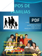 tiposdefamilias-110307144416-phpapp01