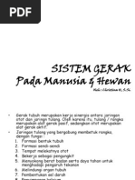 Download SISTEM GERAKppt by Richa Nurselviana SN180913708 doc pdf