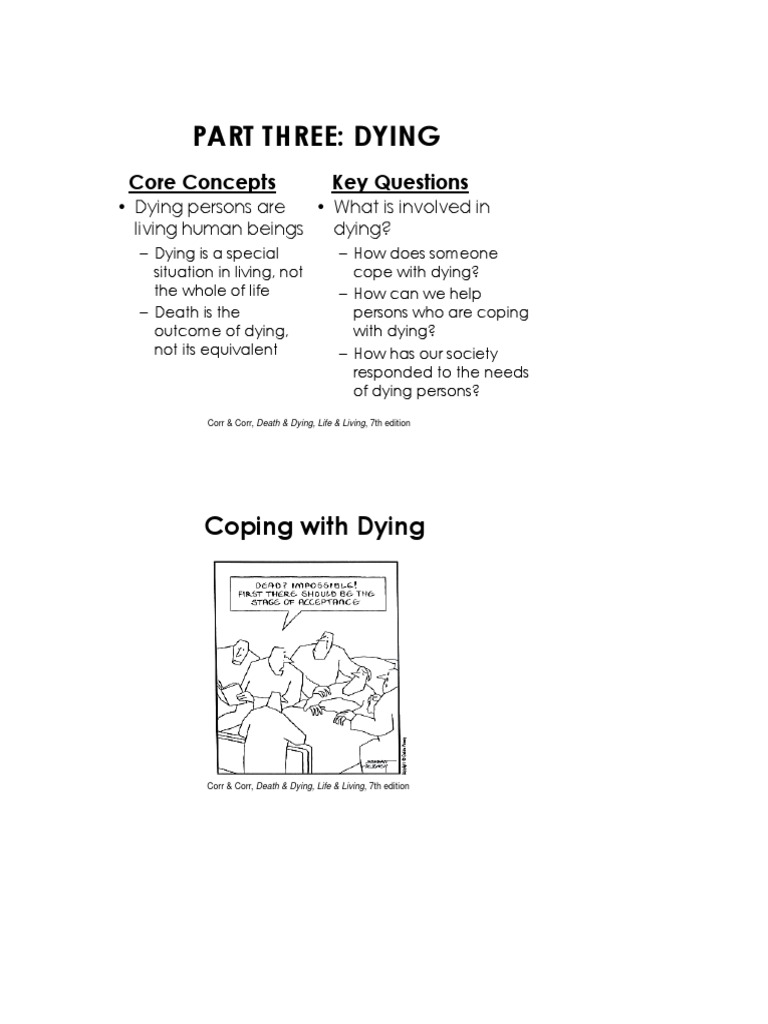 Denial stage essay picture