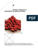 Fructele Goji.docx