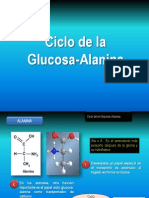 Cicloglucosa Alanina