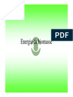 Energia Da Biomasse PDF