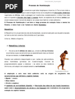 resumo historia_Processo de Hominização_7ano