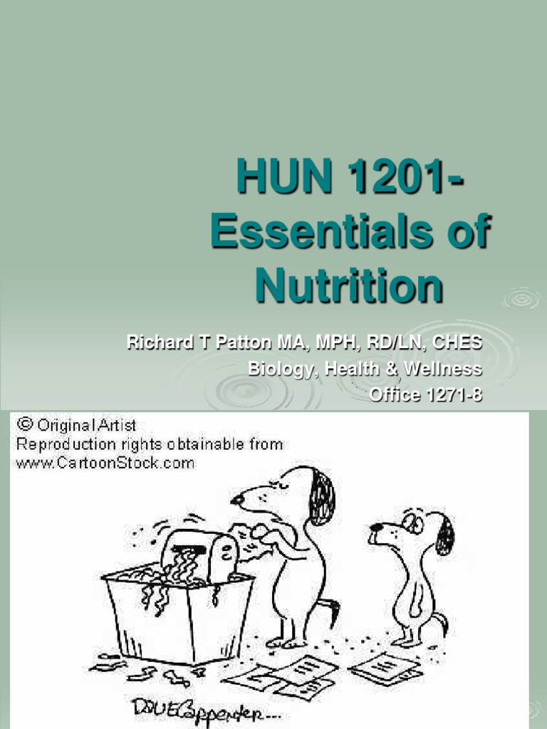 Storing Excess Nutrients as Body Fat | PDF | Nutrients | Nutrition