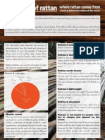 The Nature of Rattan PDF