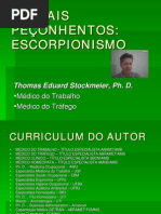 Animais Pe_onhentos - Escorpionismo