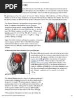 Mood and Affect List | PDF | Mental Health | Mood (Psychology)