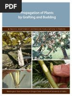 Download Propagation-of-Plants-by-Grafting-and-Buddingpdf by Anoop Chetia SN181009929 doc pdf