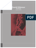 David Gilmour: Equipment Analysis