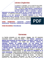 Angiospermas 3.pdf
