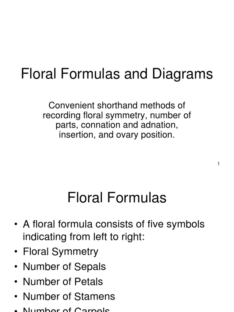 Floral Formulas and Diagrams Flowers Petal