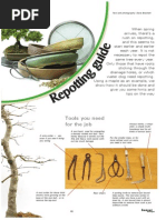 Bonsai EN Repotting Guide PDF