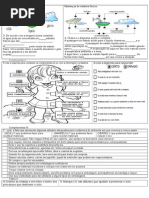 provadiagnstica7anociencias-121212195144-phpapp02