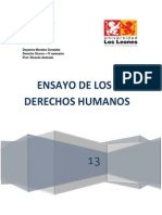 Ensayo de Los Derechos Humanos (Imprimir)