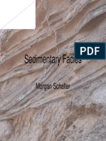 Sedimentary Facies09 PDF