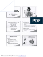 Anatomi Respirasi PDF