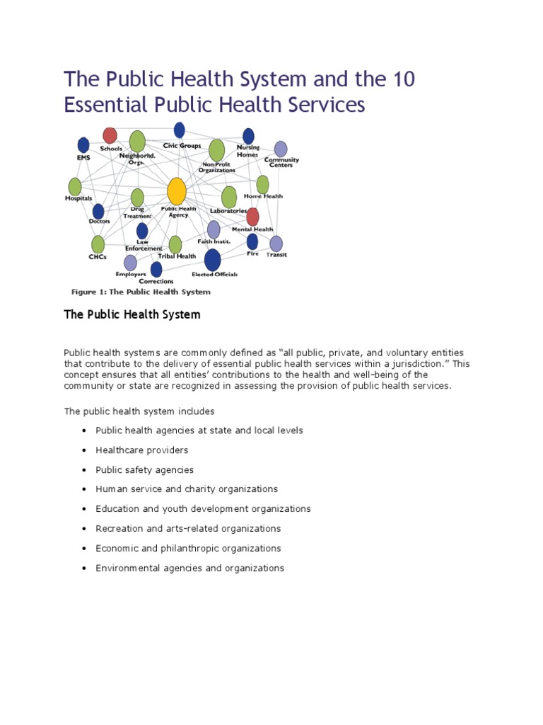 The Public Health System and The 10 Essential Public Health Services