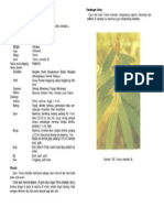 Anggrung PDF
