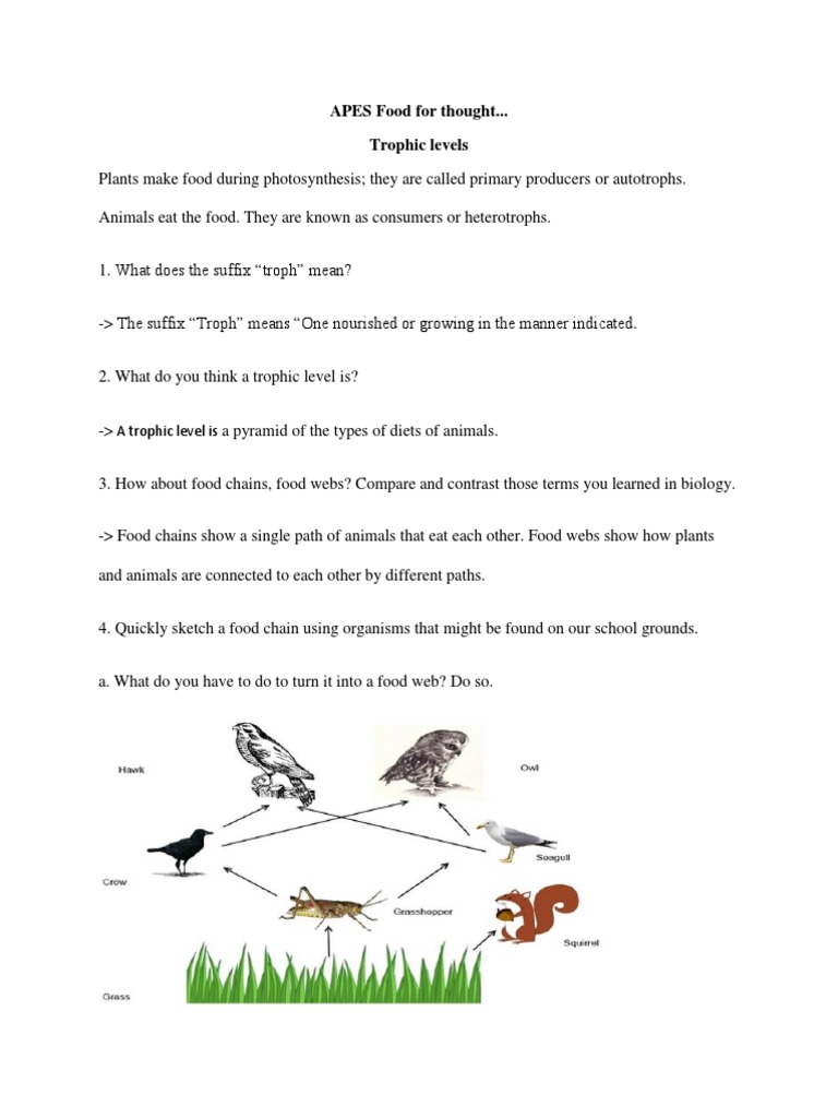 Apes Food For Thought | PDF | Food Web | Environmental Science