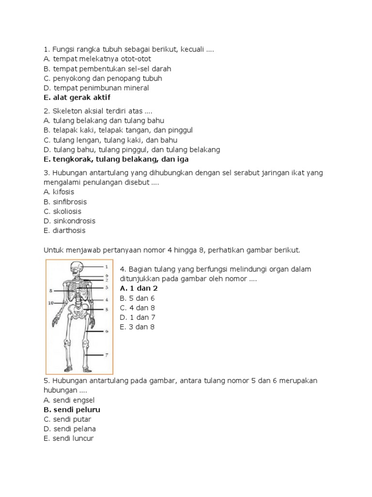 50 Soal Sistem Gerak Manusia