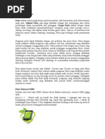 Download Pengertian Pulsadoc by Nurul Wirda Pawiro SN181113842 doc pdf